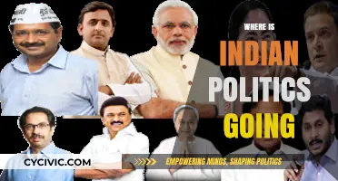 India's Political Trajectory: Challenges, Shifts, and Future Directions