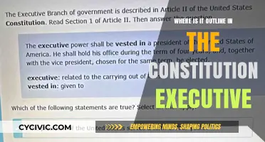 Executive Power: The Constitution's Outline