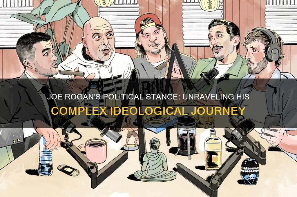 where is joe rogan political