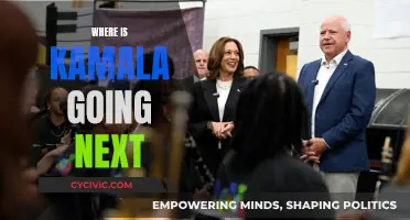 Kamala's Next Move: Predicting Her Future Plans