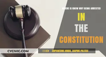 The Constitution's Right to Know Your Arrest Charges