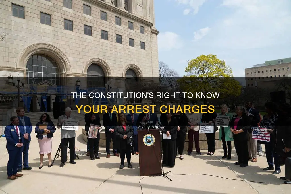 where is know why being arrested in the constitution