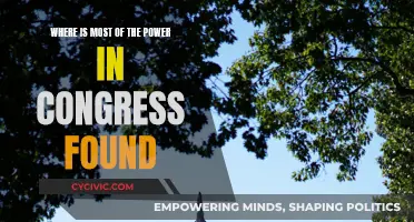Power Dynamics in Congress: Where Does It Lie?