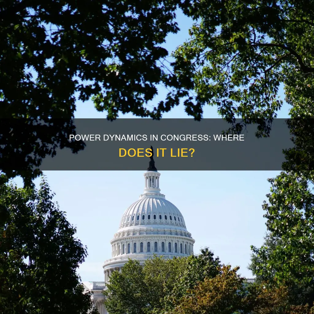 where is most of the power in congress found