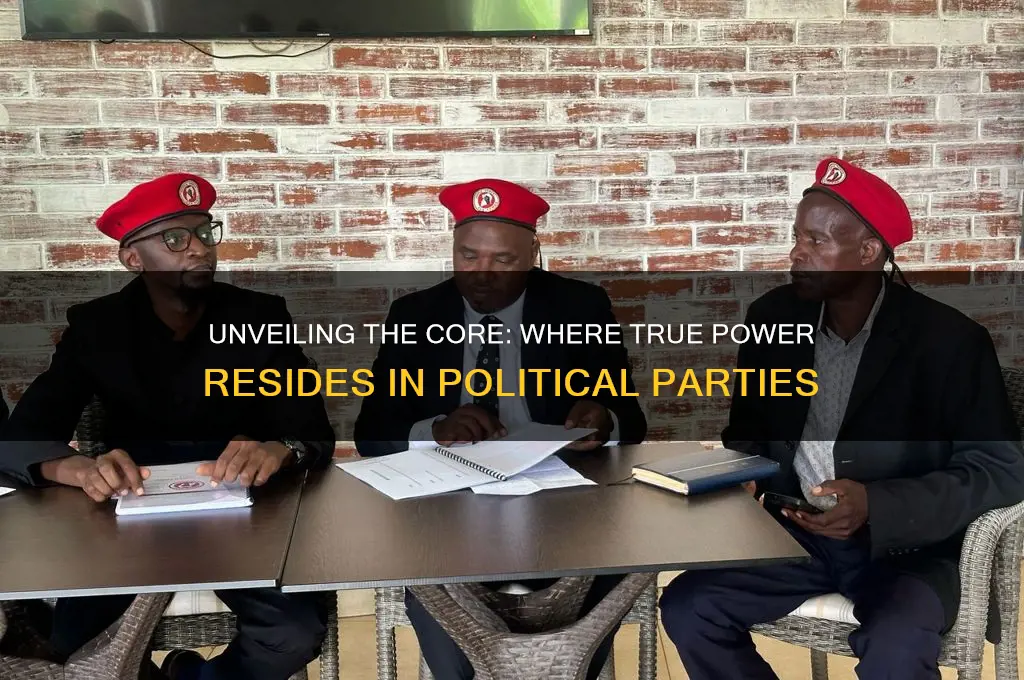 where is most power in political parties