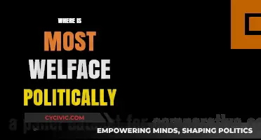 Global Welfare Politics: Mapping the Most Progressive Policies Worldwide