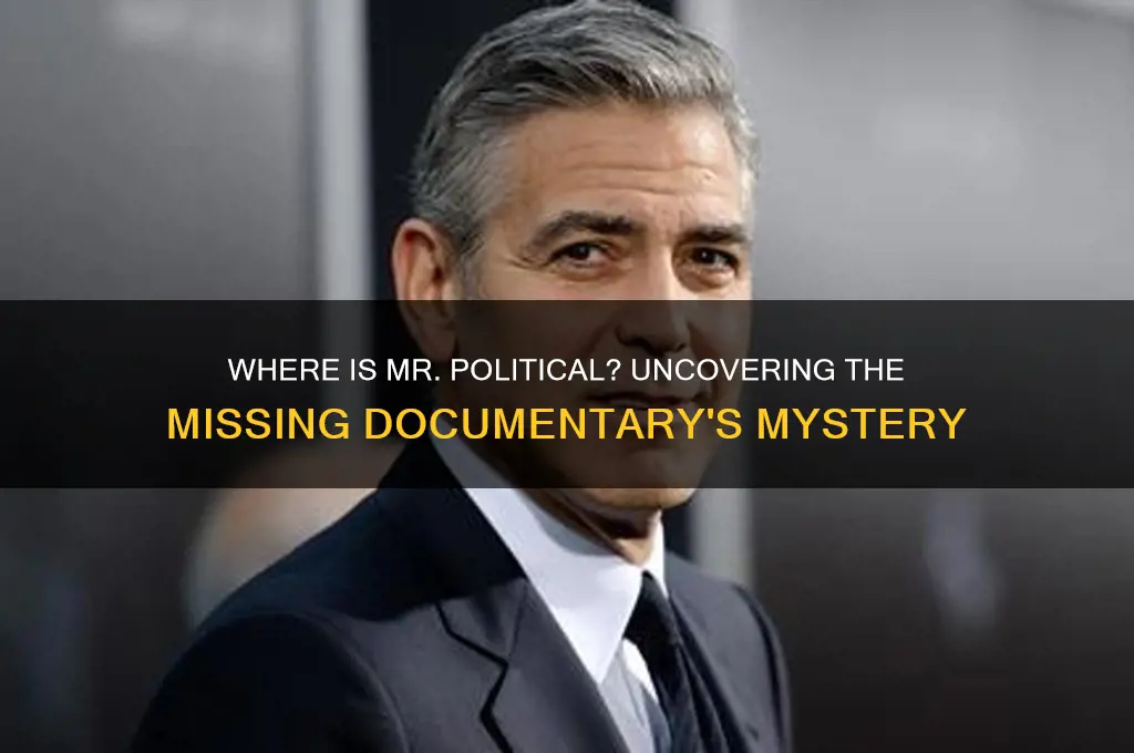 where is mr political documentary