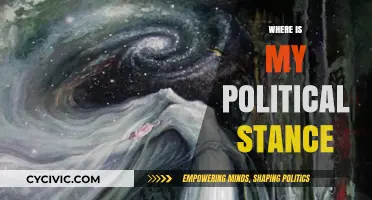 Exploring My Political Beliefs: A Journey to Define My Stance