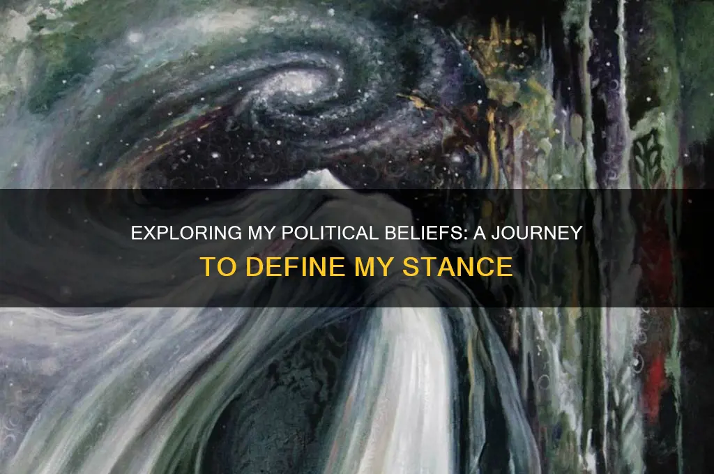 where is my political stance