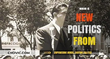 Exploring the Origins and Evolution of New Politics Today