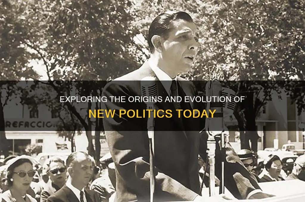 where is new politics from