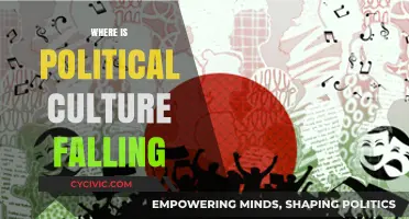 Declining Political Culture: Global Trends and Societal Shifts Explored