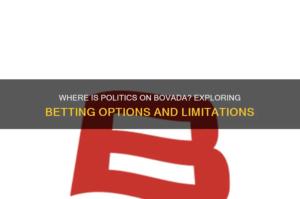where is politics on bovada