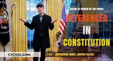 The Purse Strings: Who Controls the Spending Power?