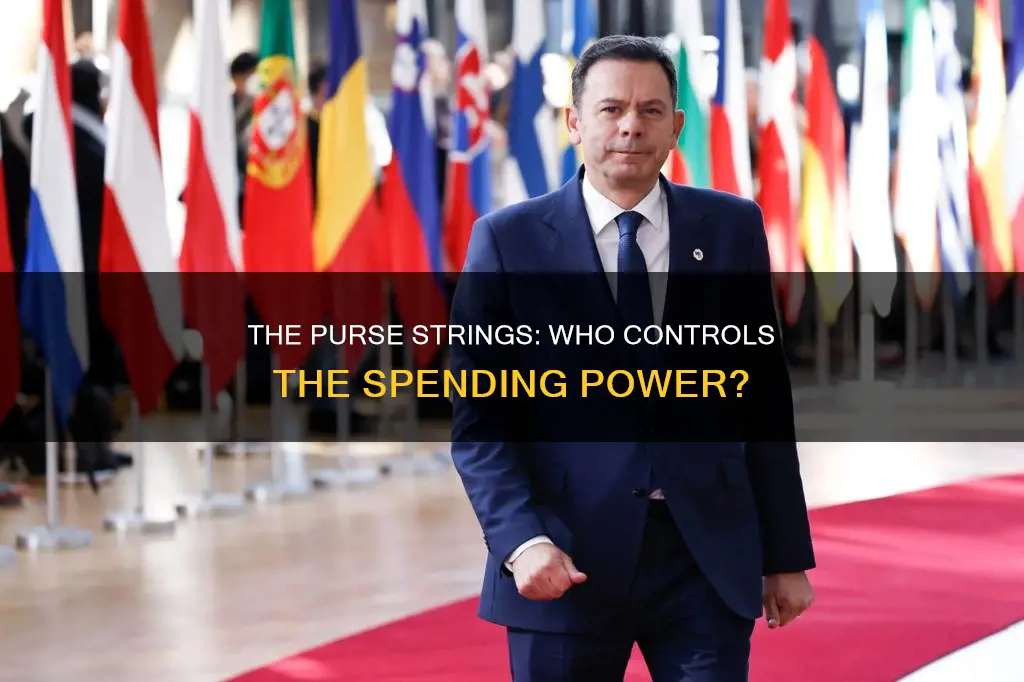 where is power of the purse referenced in constitution