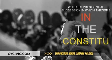 Presidential Succession: Which Constitutional Amendment?