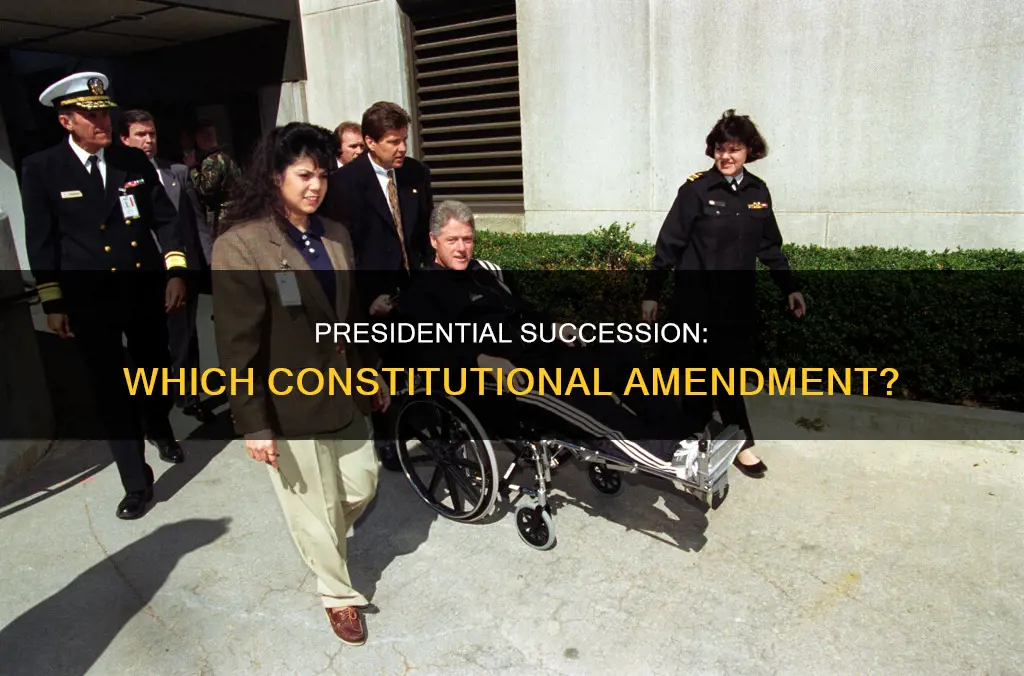 where is presidential succession in which amendment in the constitution