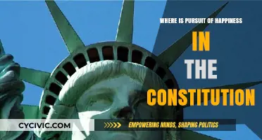 The Pursuit of Happiness: A Constitutional Right?