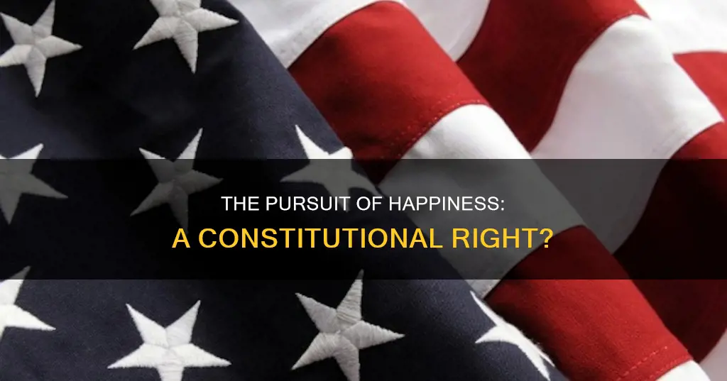where is pursuit of happiness in the constitution