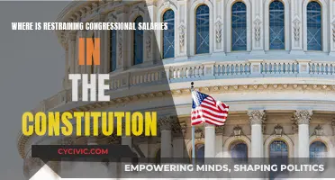 The Constitution's Limits on Congressional Salaries: Where's the Restraint?