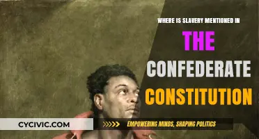 Slavery in Confederate Constitution: A Dark Mention