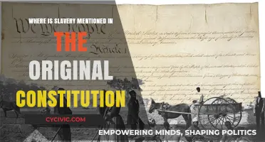 Slavery in the Constitution: A Historical Mention