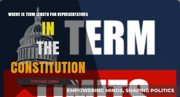 Term Limits: Where the Constitution Stands