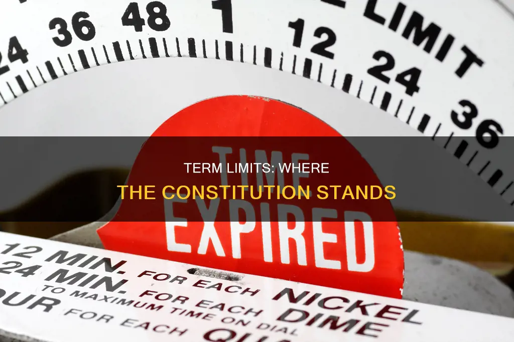 where is term length for representatives in the constitution