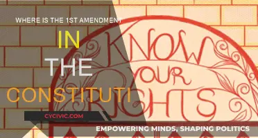 The First Amendment: Its Place in the Constitution