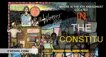 The Fourth Amendment: A Constitutional Cornerstone