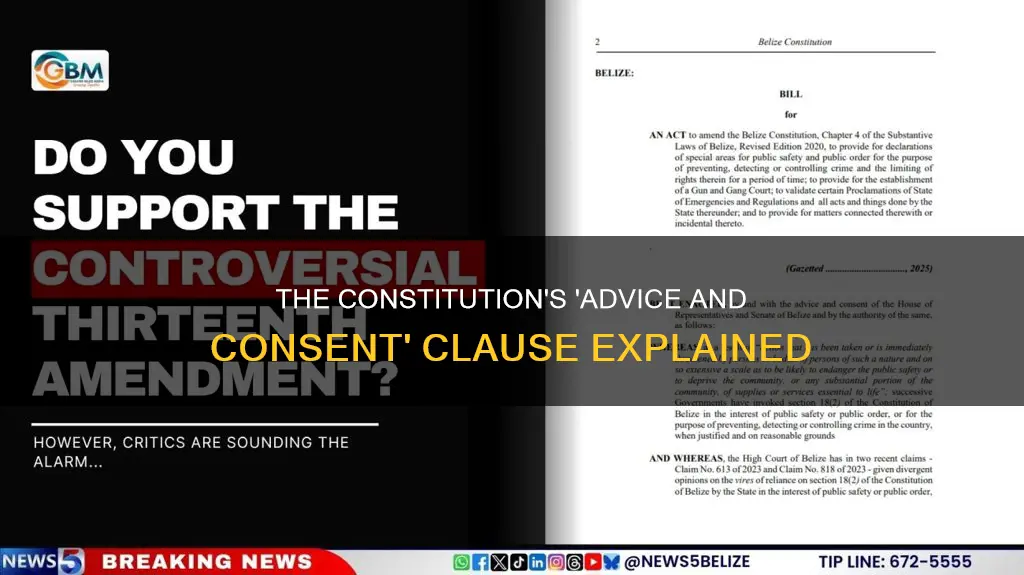where is the advice and consent clause in the constitution