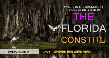 Florida Constitution: Amendments Explained