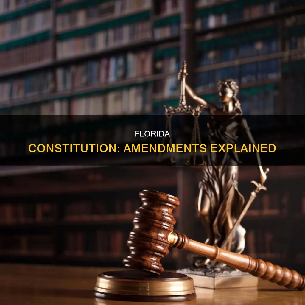 where is the amendment process outlined in the florida constitution