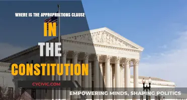 Understanding the Appropriations Clause in the US Constitution