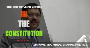 The Chief Justice: Constitutional Mention