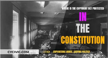 Copyright Act: Where is it Protected in the Constitution?