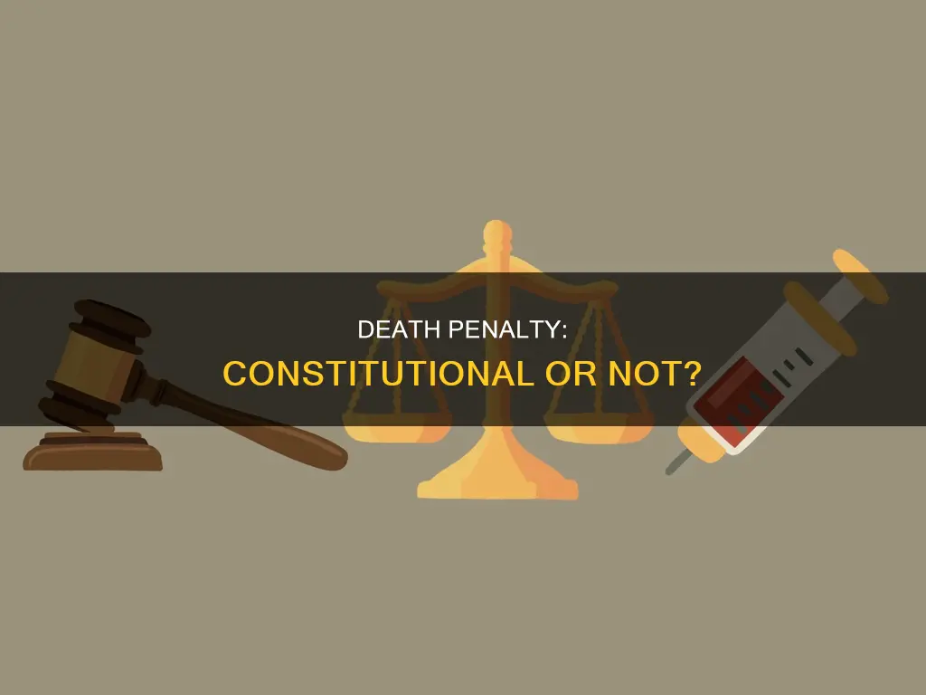 where is the death penalty in the constitution