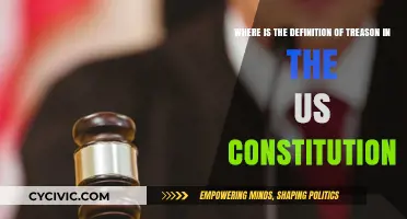 The US Constitution's Treason Definition: Explained