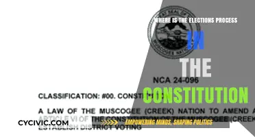 The Electoral Process: Constitutional Framework