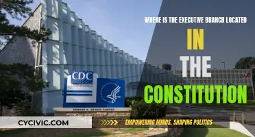 The Executive Branch: Its Place in the Constitution