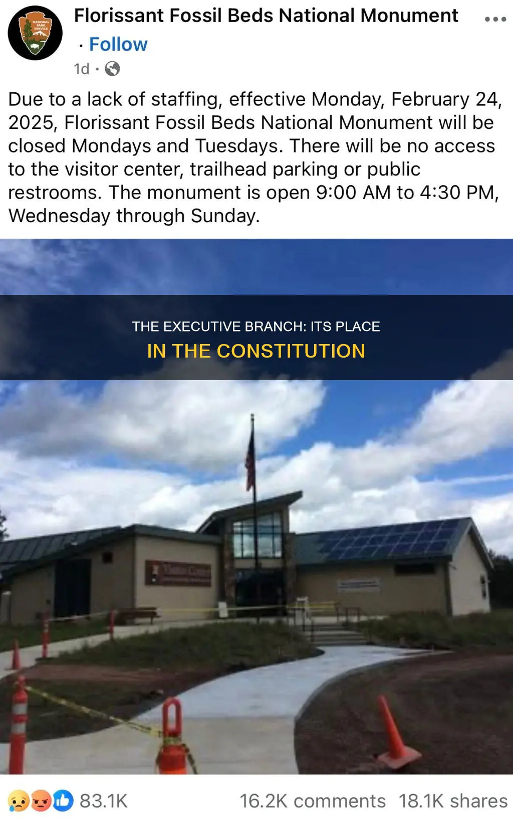 where is the executive branch located in the constitution