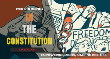 The Constitution's Free Press: Where Is It?