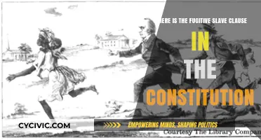 The Fugitive Slave Clause: A Constitutional Conundrum