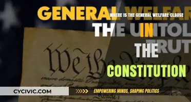 The General Welfare Clause: Location and Constitutional Significance