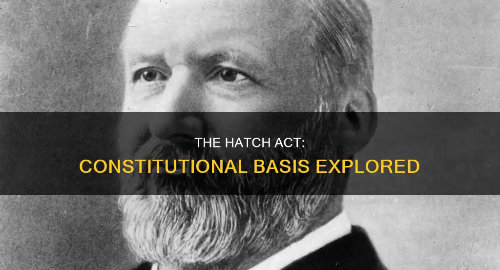 where is the hatch act in the constitution