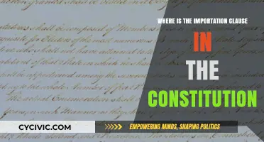 The Constitution's Importation Clause: Location and Impact