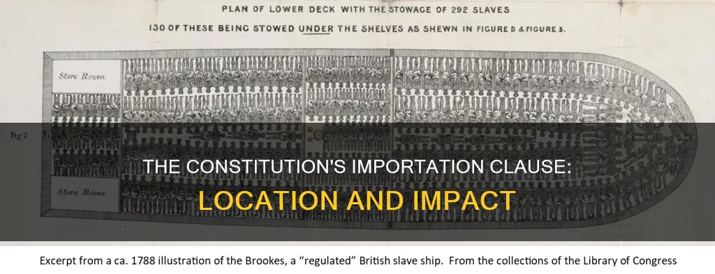 where is the importation clause in the constitution