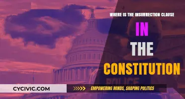 Insurrection Clause: What the Constitution Says