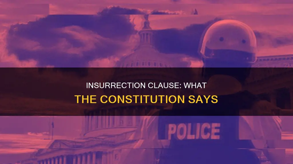 where is the insurrection clause in the constitution