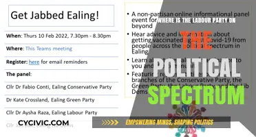 Labour Party's Political Position: Left, Center, or Something Else?